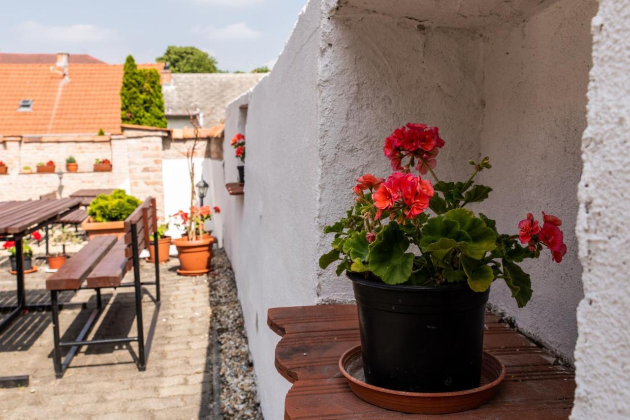 Fenyes Vinorium Bed & Breakfast Sopron Eksteriør bilde